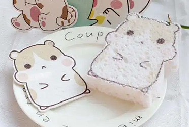 셀룰로오스 스폰지